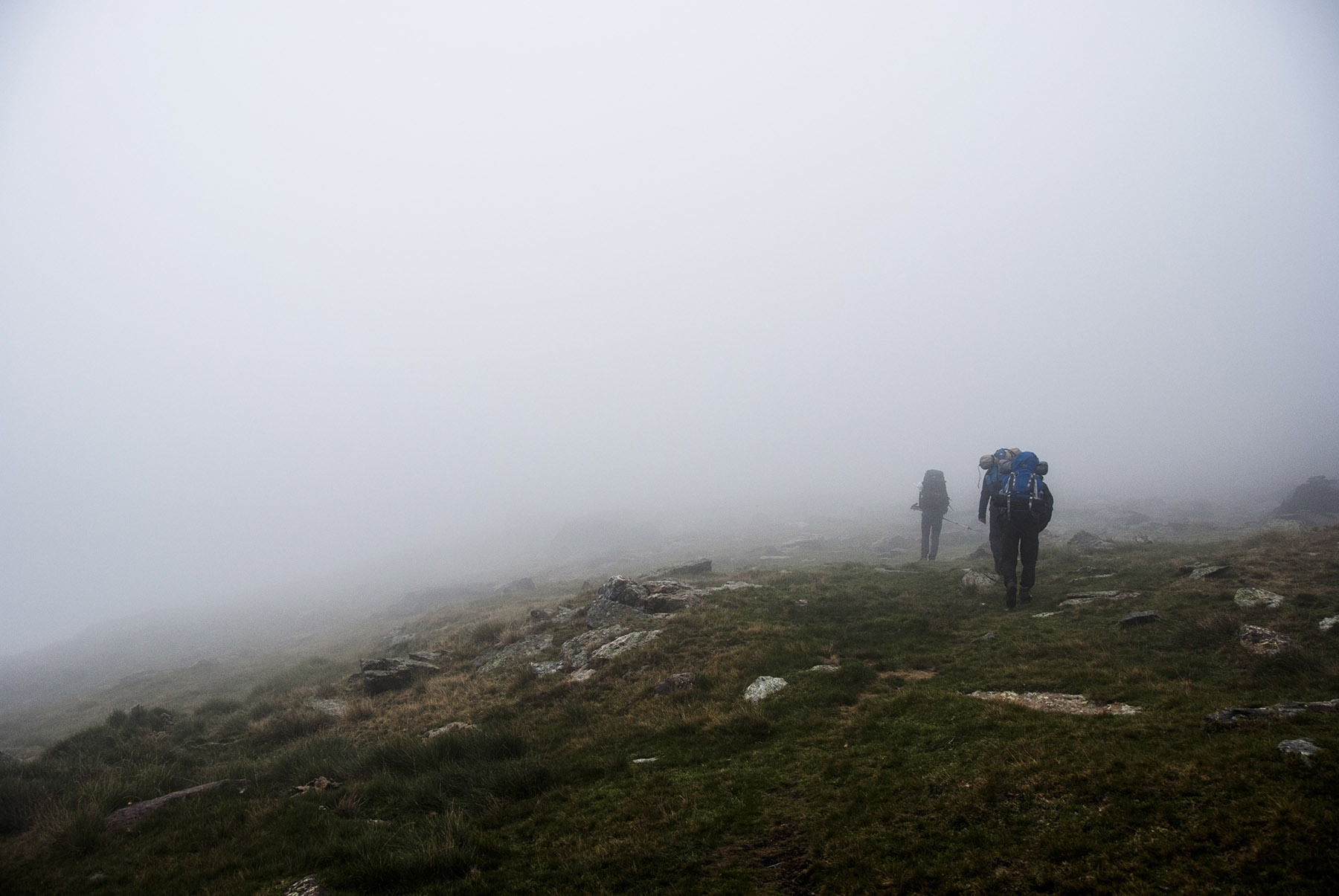 hiking colleagues in fog