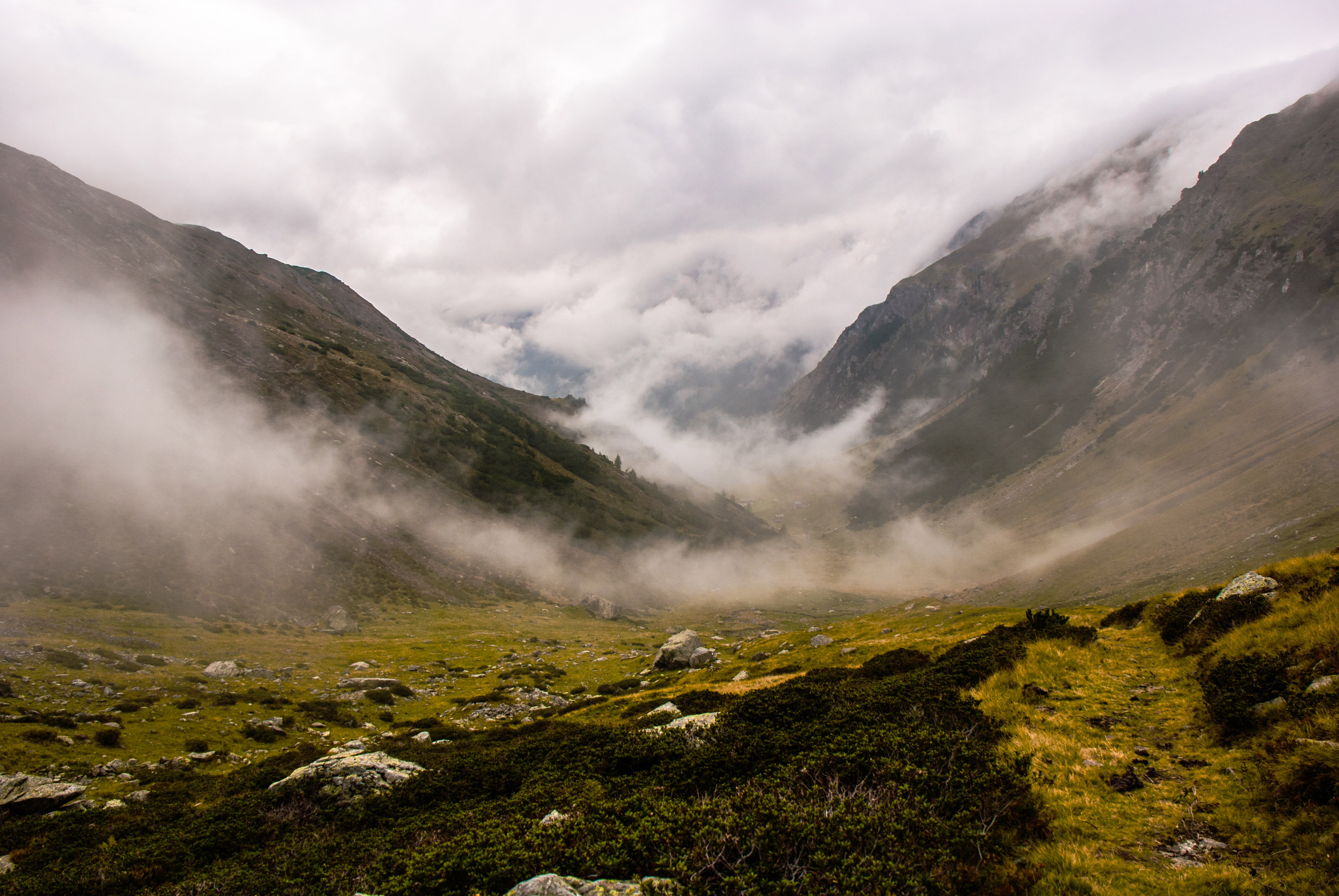 fog in valley