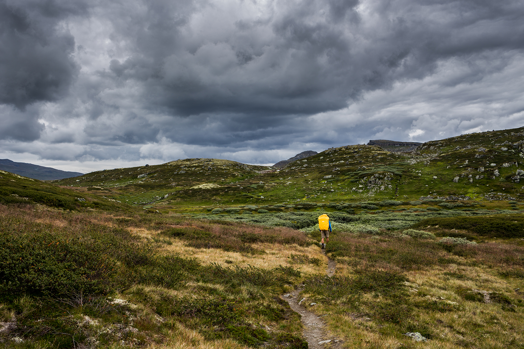 path with lone hiker